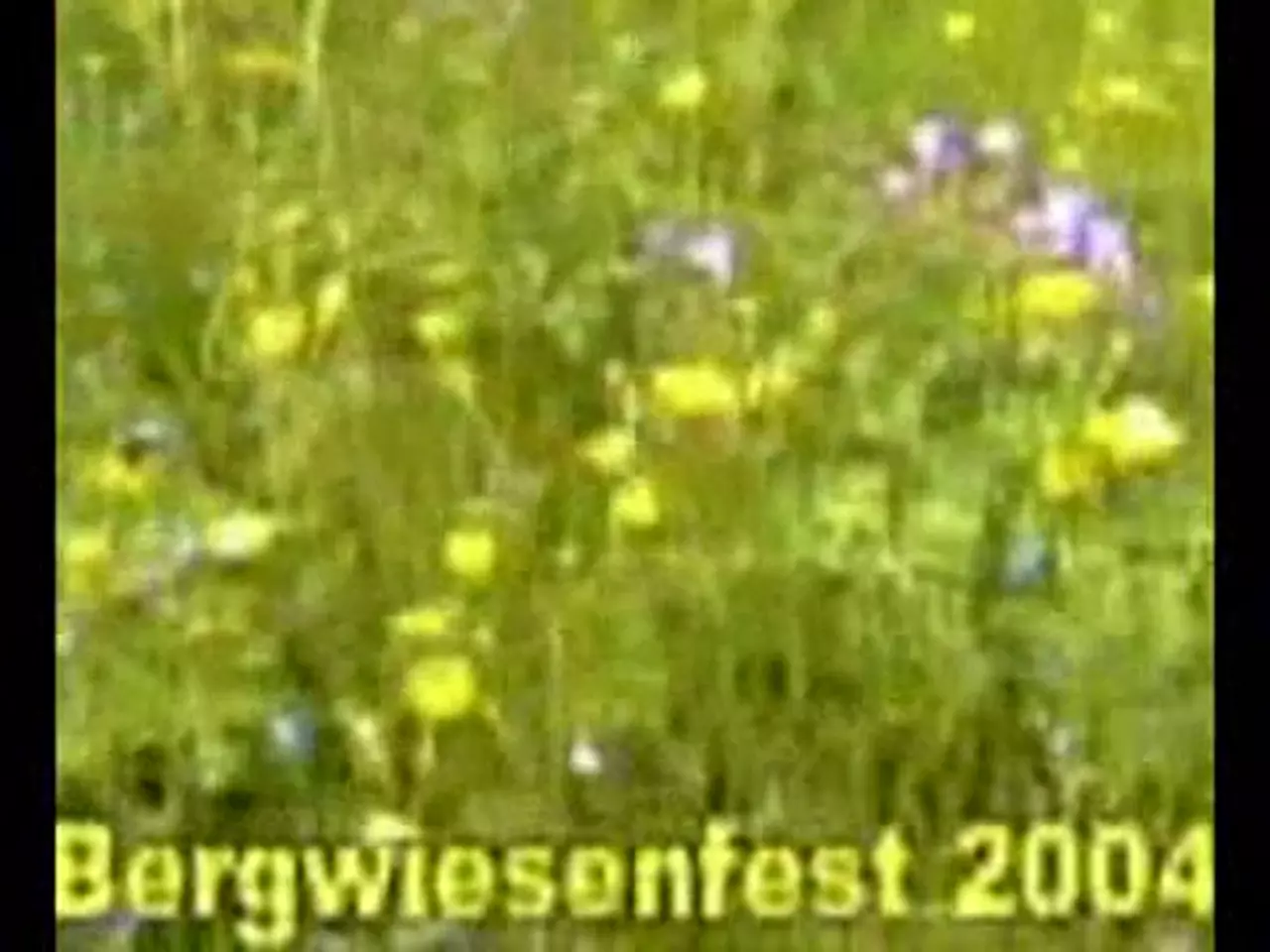 Foto: Erzgebirge: Bergwiesenfest in Rechenberg-Bienenmühle (Teil 2)