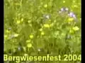 Erzgebirge: Bergwiesenfest in Rechenberg-Bienenmühle (Teil 2)