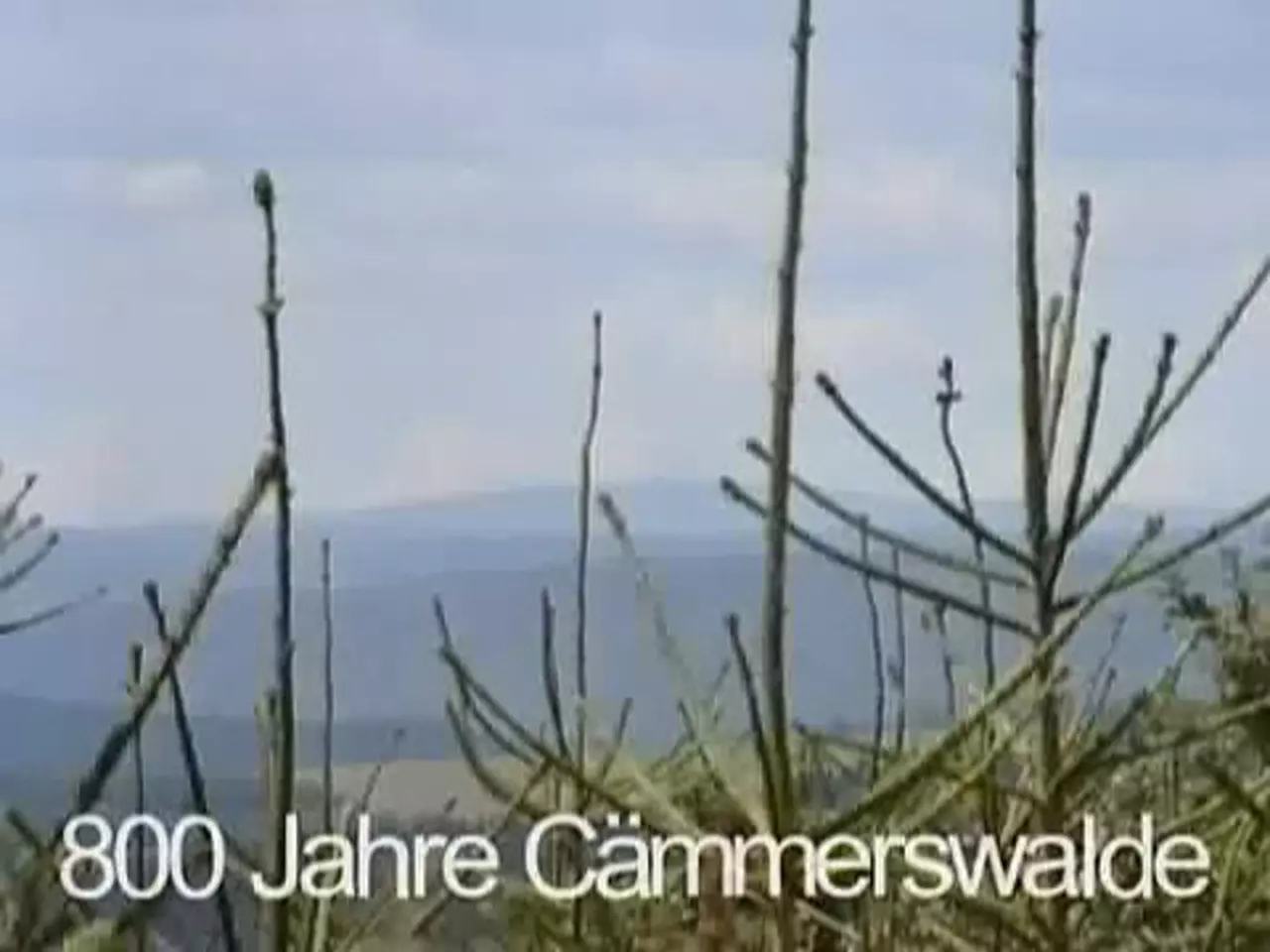 Foto: 800 Jahre Cämmerswalde (3)