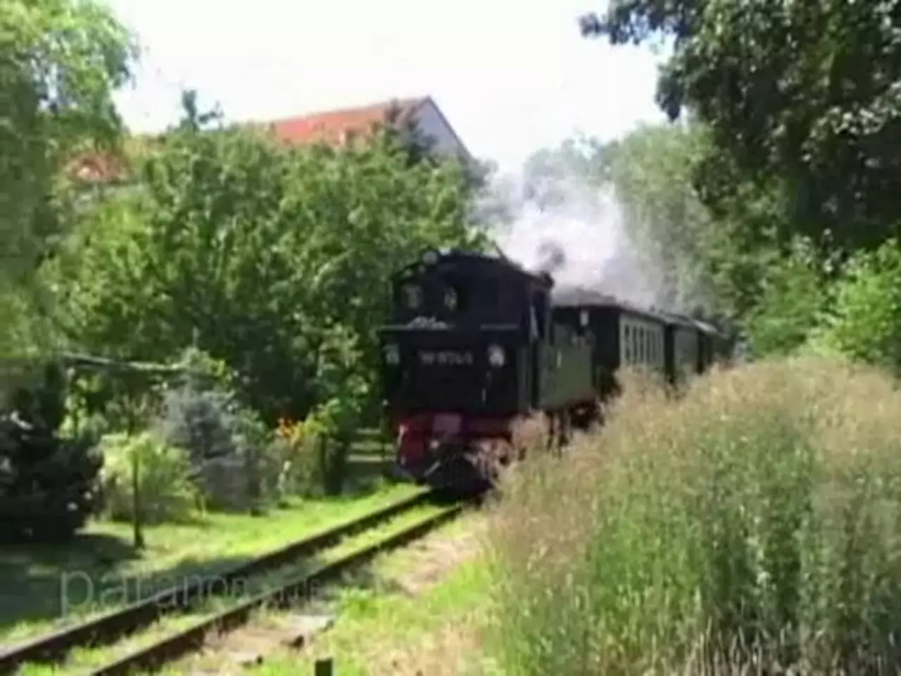 Foto: Die Dampflok der Döllnitzbahn zwischen Mügeln und Oschatz