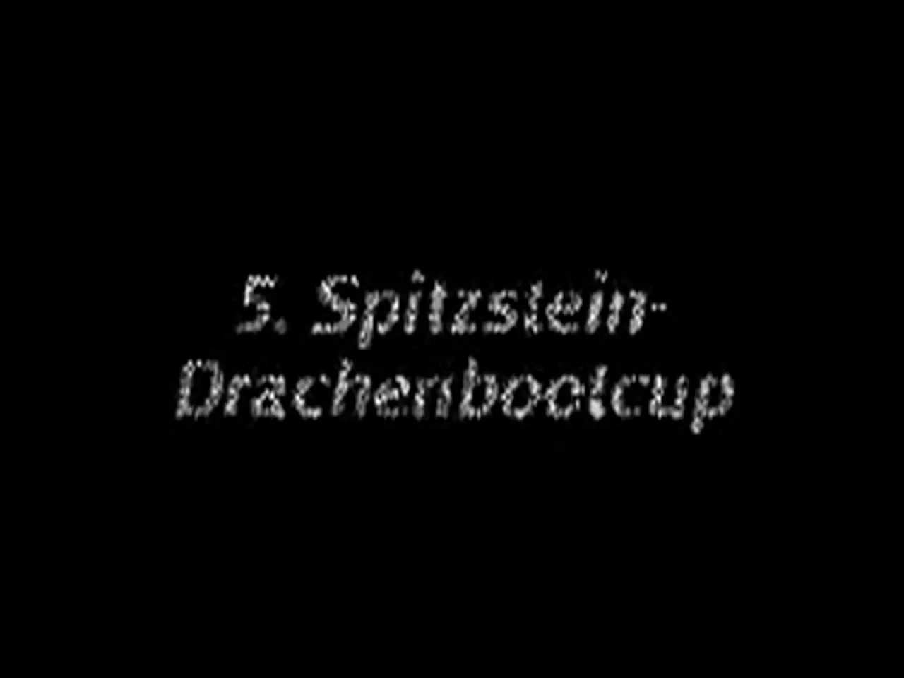 Foto: Die OEWA-Flusspferdbande beim 5. Spitzstein-Drachenbootcup in Westewitz