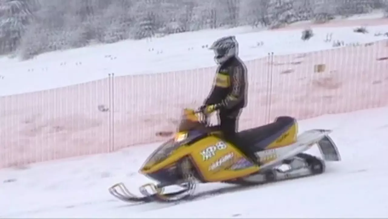 Foto: Videoclip vom Skikjöring Rehefeld 2010