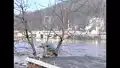 Schneeschmelze in Tschechien - Hochwasser in Bad Schandau