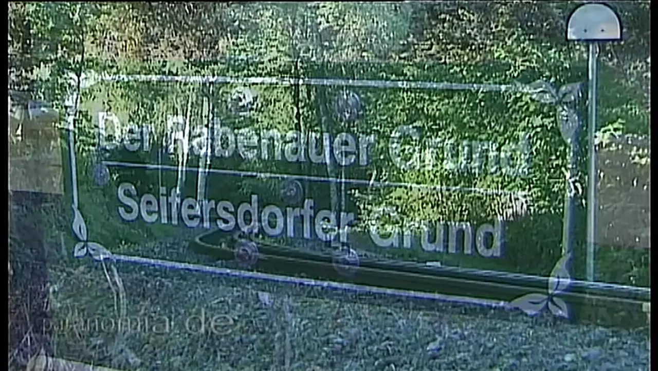 Foto: Die Weißeritztalbahn im Seifersdorfer Grund