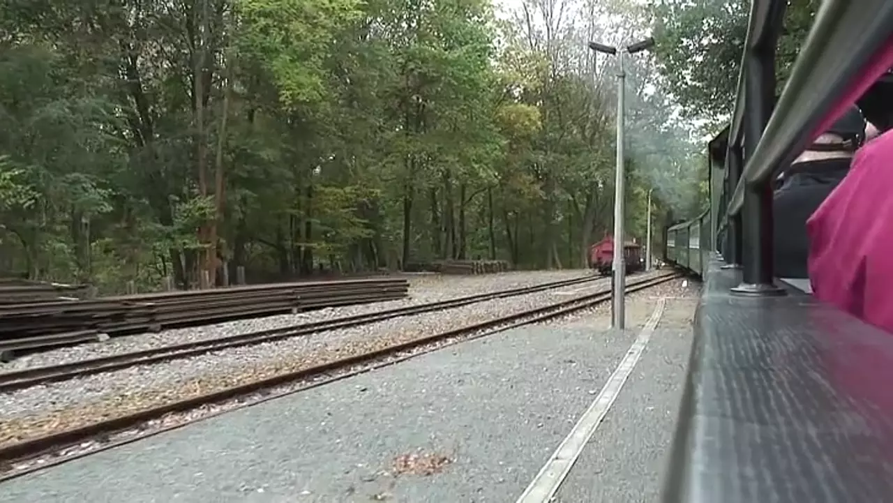 Foto: Mit der Dampflokomotive von Seifersdorf nach Spechtritz - Weißeritztalbahn