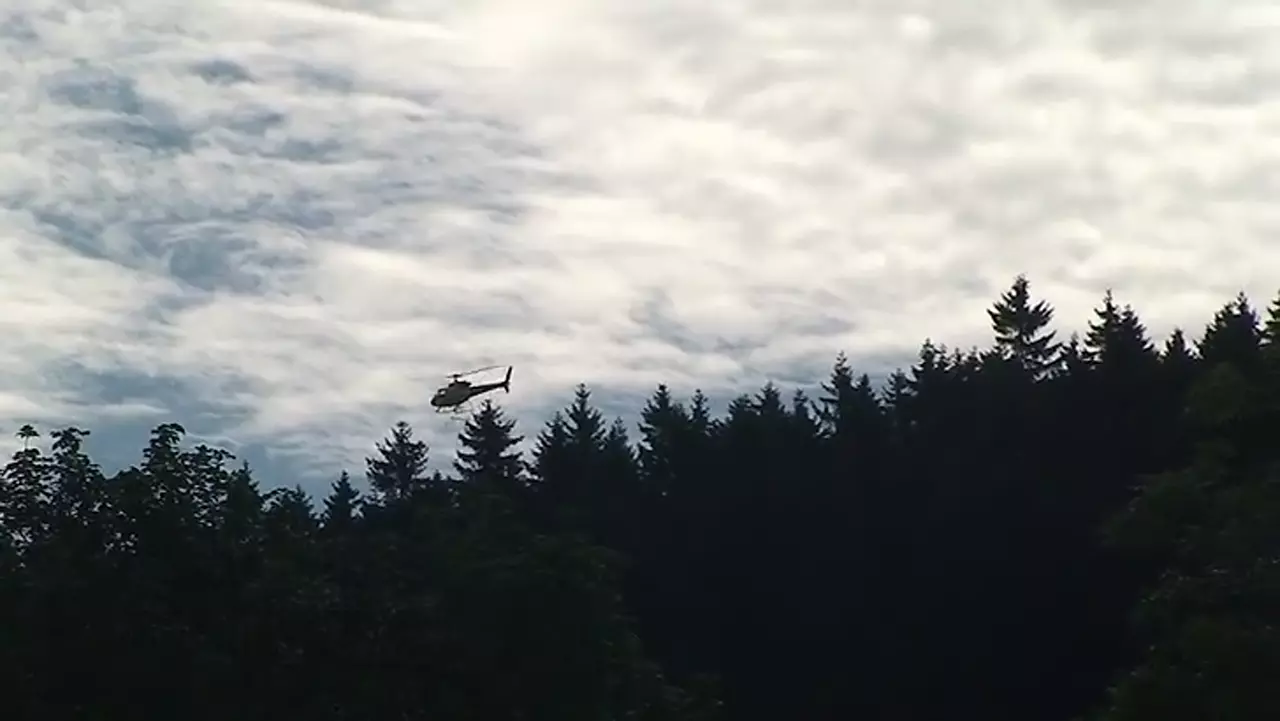 Foto: Kalken des Waldbodes mit Helicopter