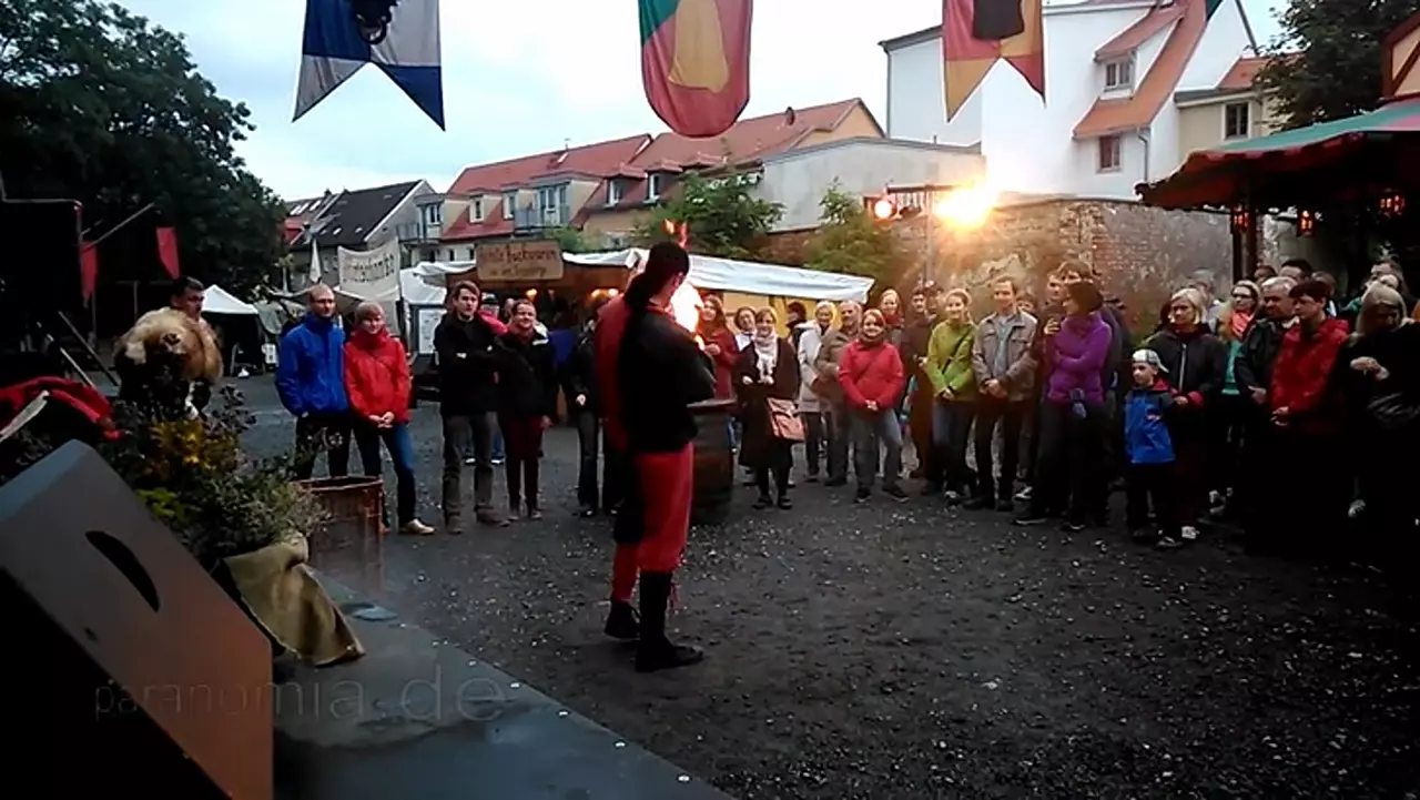 Foto: Gaukler Lupus beim Bergstadtfest in Freiberg