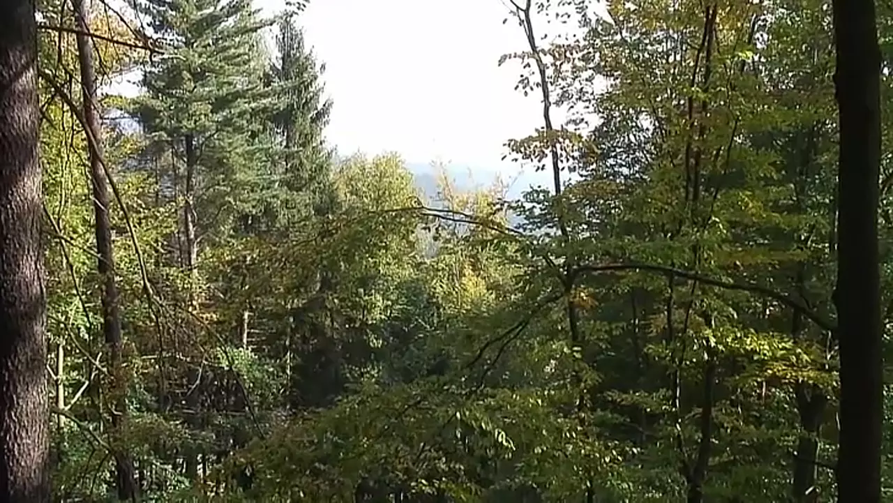 Foto: Aufstieg auf den Zirkelstein - Wandervideo