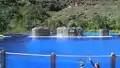 Urlaub auf Gran Canaria - Delphin Show
