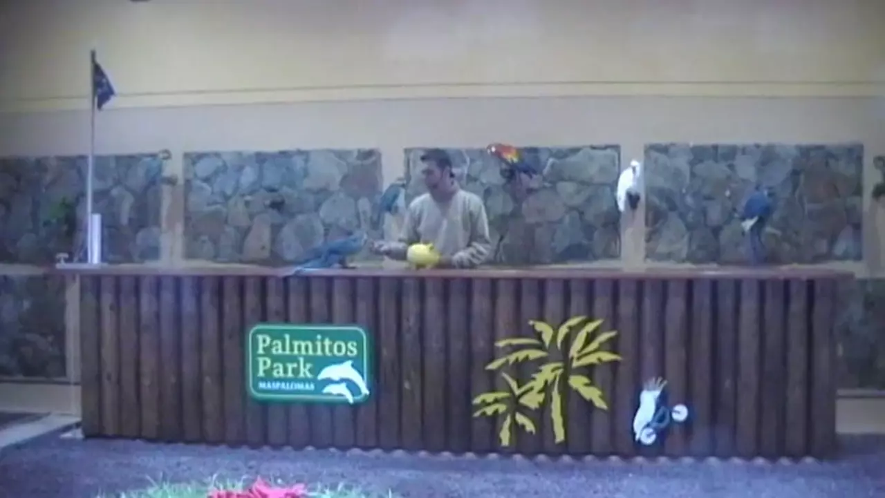 Foto: Urlaub Gran Canaria Palmitos Park Papageien Show