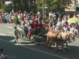 Videos aus Freiberg, Tag der Sachsen - Herz aus Silber - Terra Mineralia